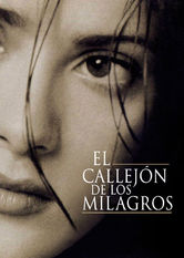 El Callejon De Los Milagros